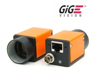 GigE Cameras